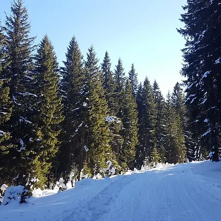 226 In Vucko - Private Host 4*