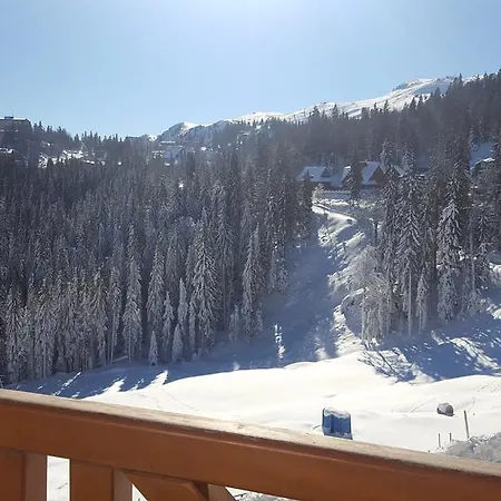 Apartment 226 In Vucko - Private Host 4*